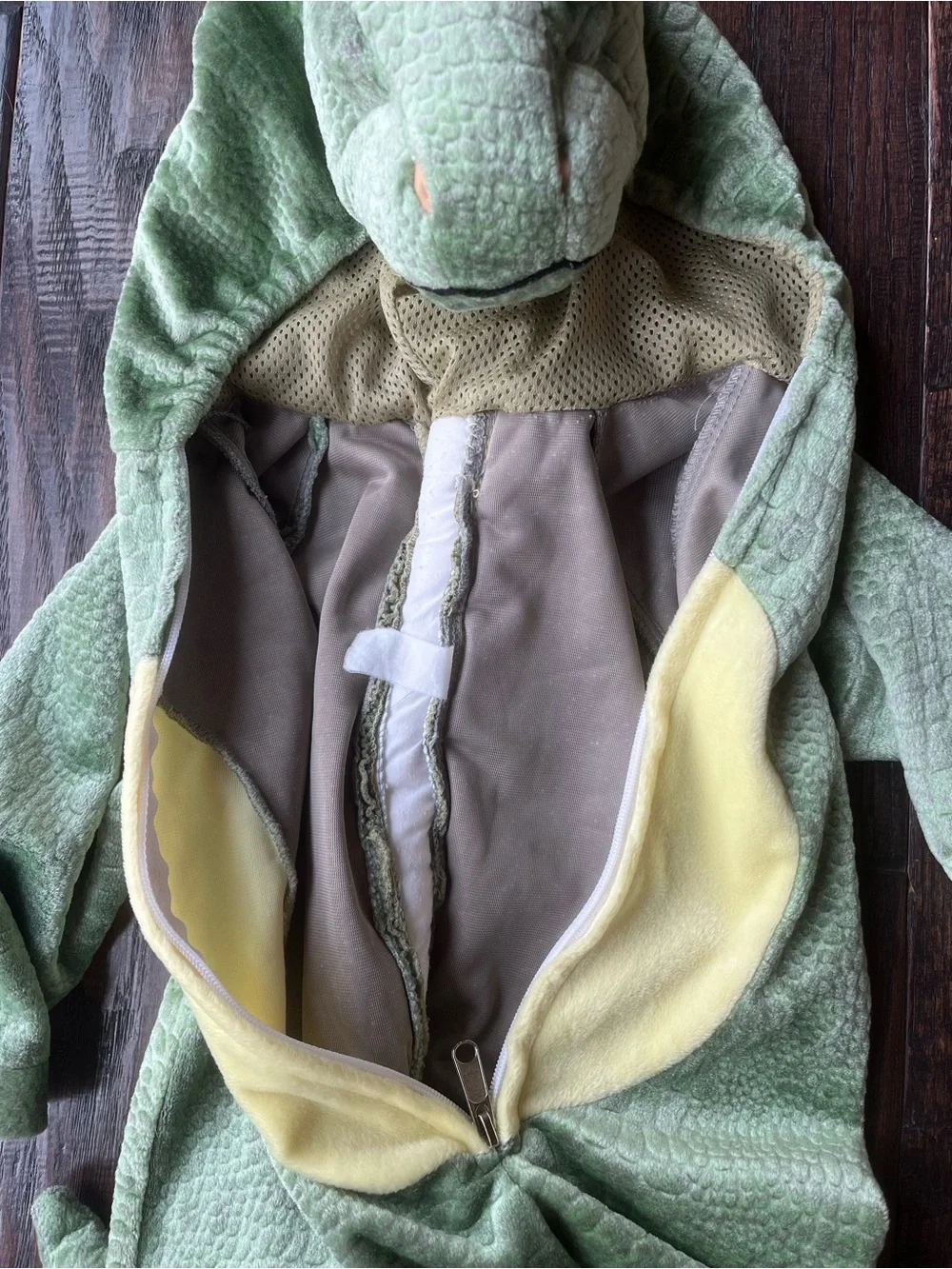Halloween Costume Dragon